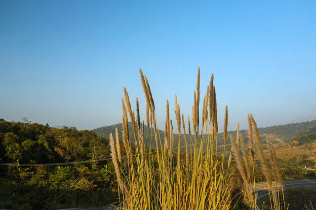 Golfing in Jorhat Golfing in Jorhat